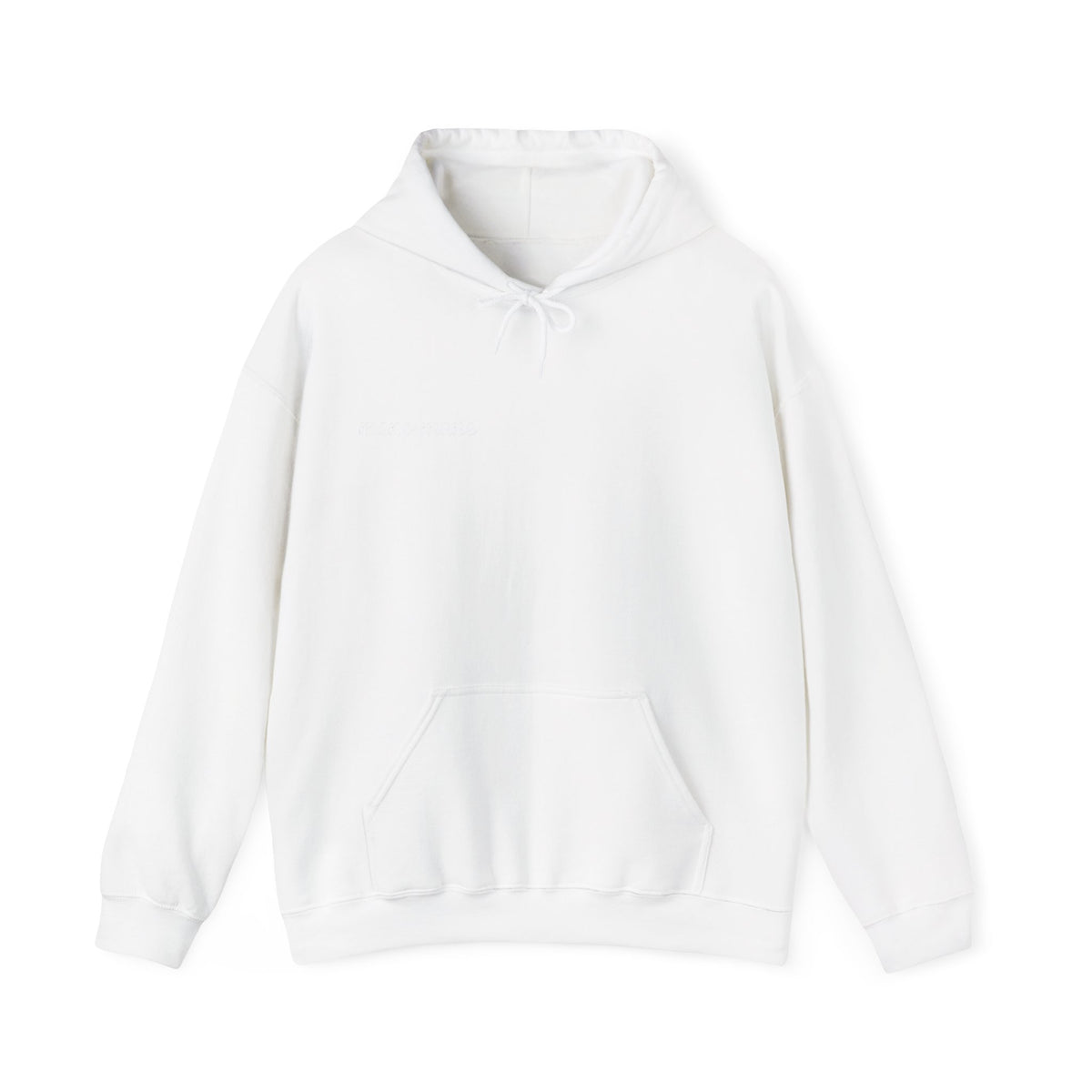 Tequila & Champagne Bottle Hoodie — Party Spirits Back Print
