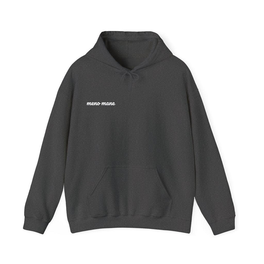 Tequila & Champagne Bottle Hoodie — Party Spirits Back Print