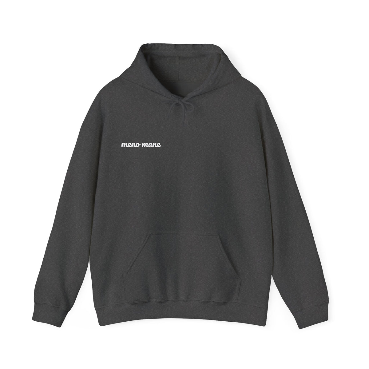Tequila & Champagne Bottle Hoodie — Party Spirits Back Print
